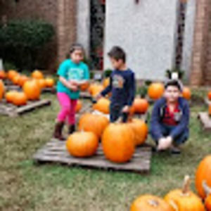 Meet your Posher, Eveling